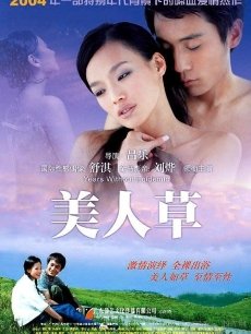 美人草海报