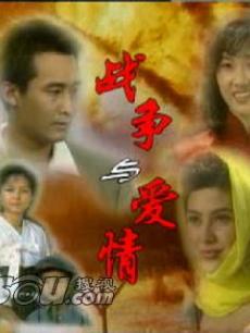 战争与爱情海报