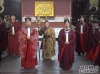 狸猫换太子的剧照