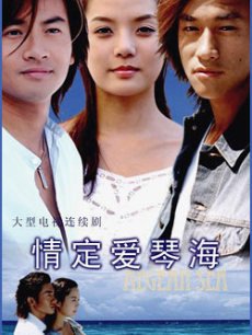 情定爱情海海报